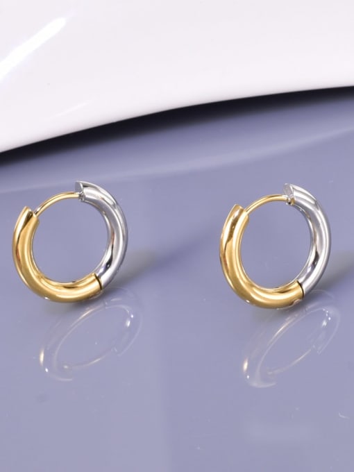 Titanium Hoop Earing